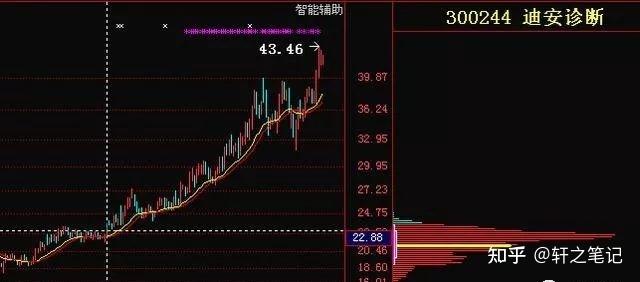 Cá heo xuất hiện ở vùng biển gần bờ tại Bình Định